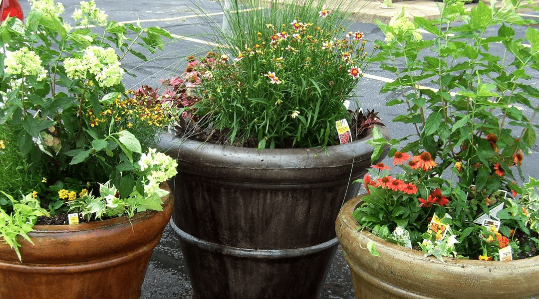 “Corner Planters” Brighten our Gateways