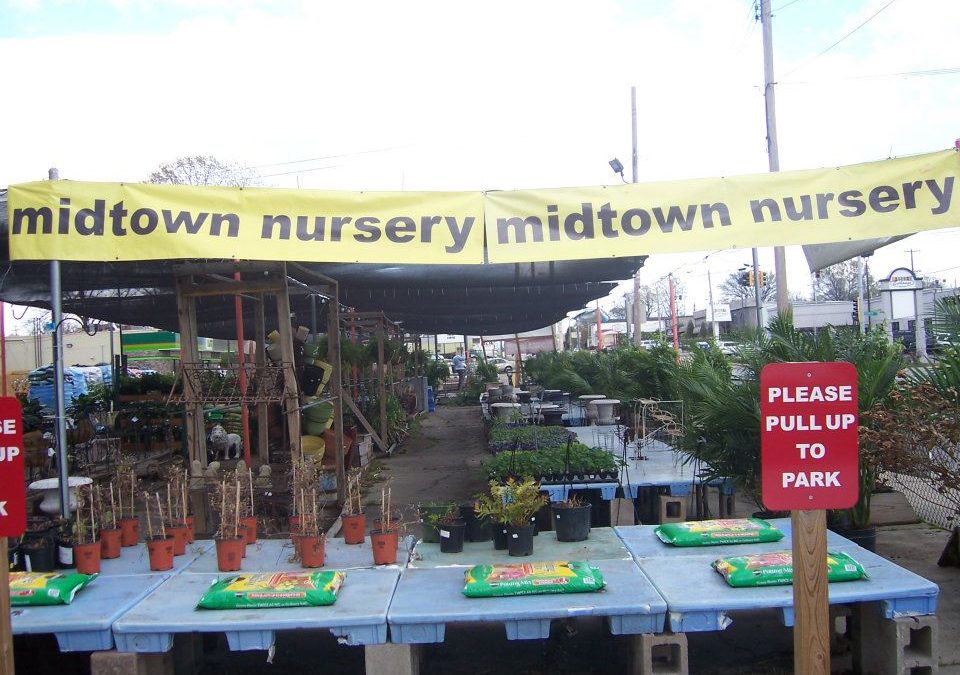 Midtown Nursery