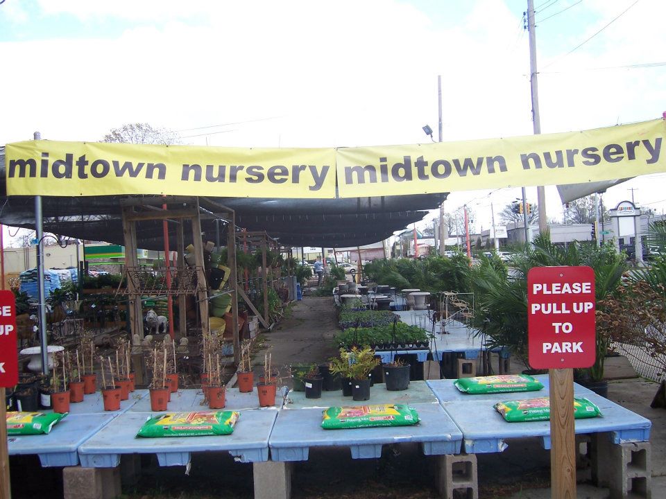 Midtown Nursery