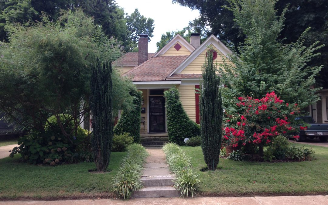 Flashback September 2014: Yard Of Month