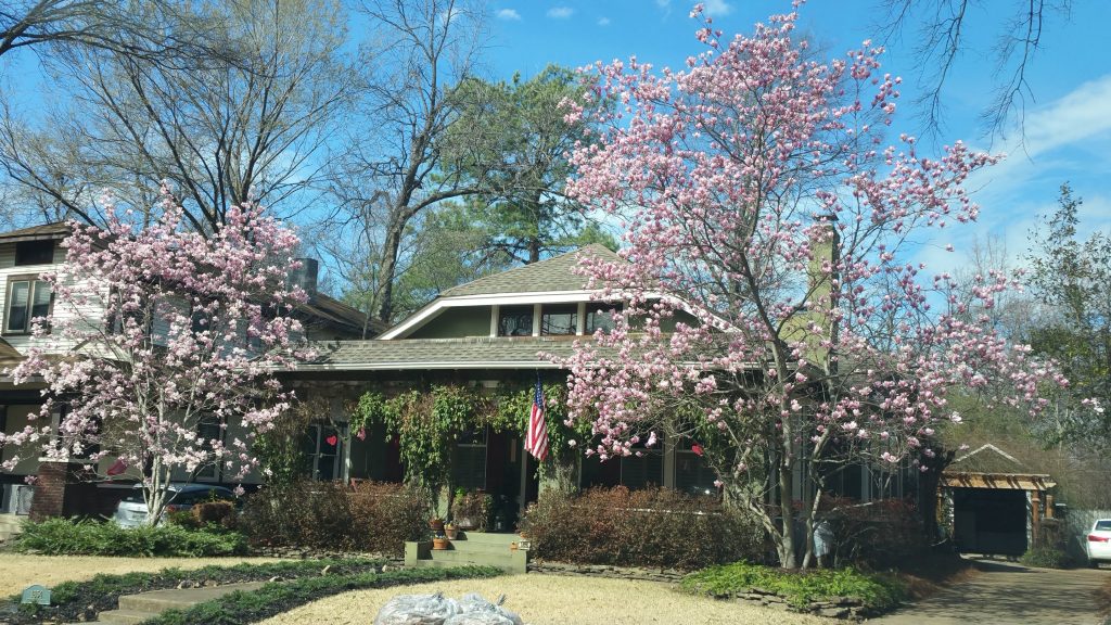 Paige's Front Porch