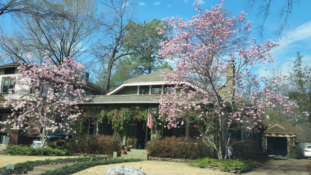 Paige's Front Porch