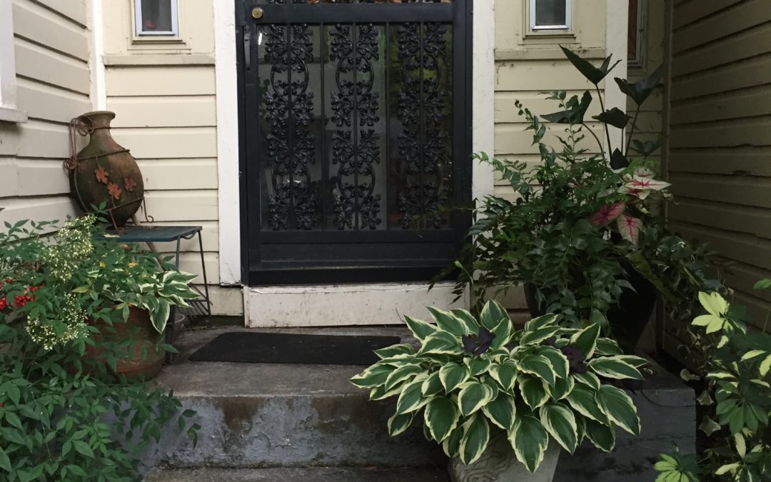 October 2018-Historic York home’s expansive front yard holds unique urban forest.