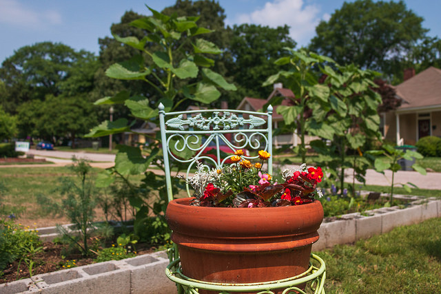 Bob’s Monthly Garden Checklist-September