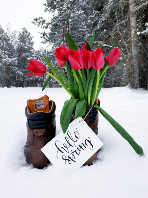 spring flowers