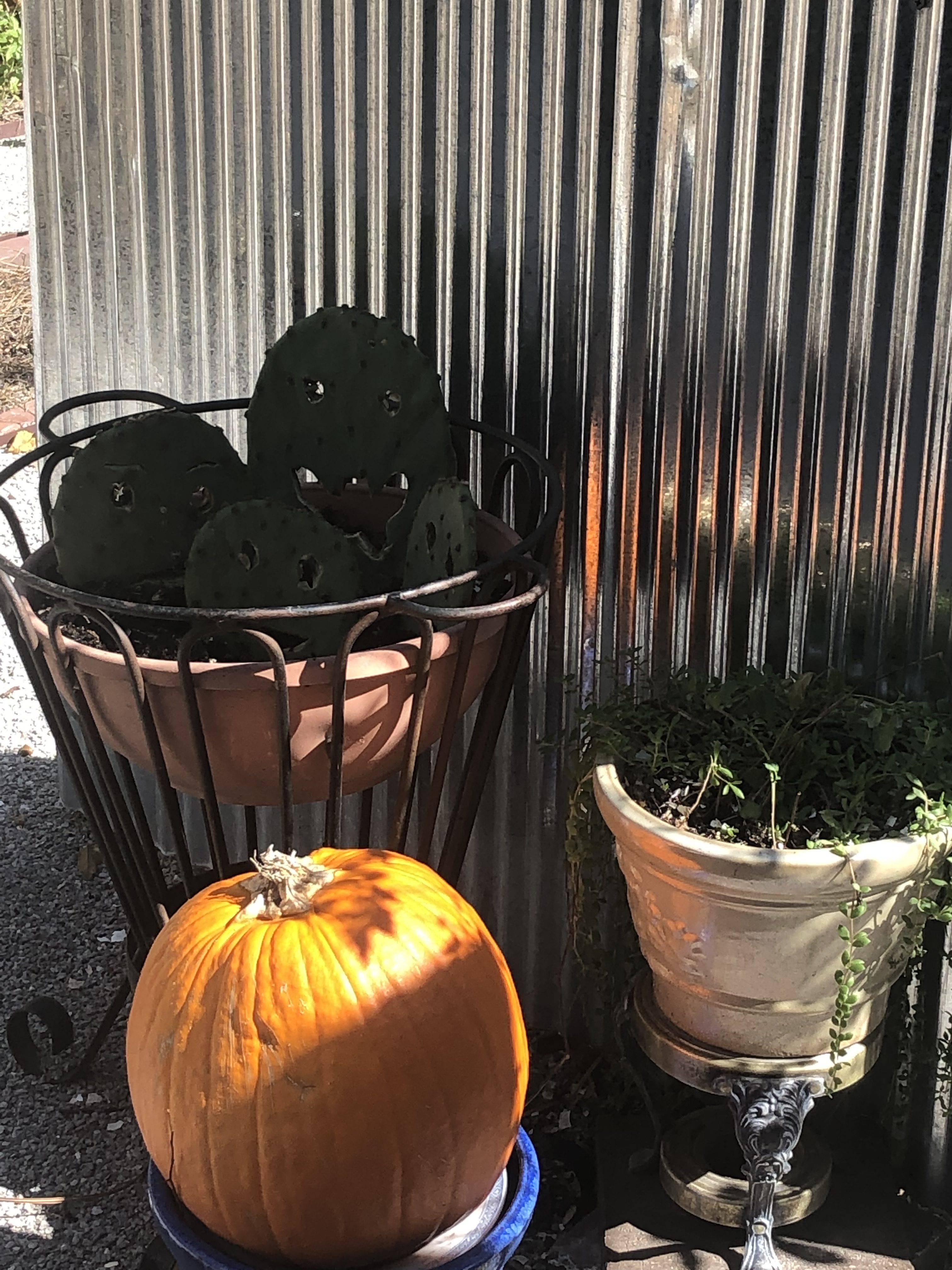 Halloween Container Ideas