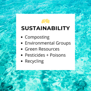 sustainability resources
