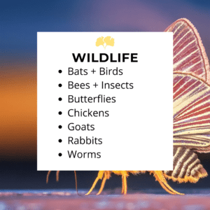 wildlife resources