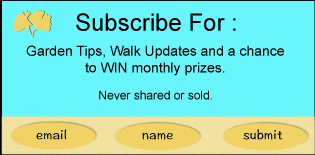 Gardenwalk-email-layout
